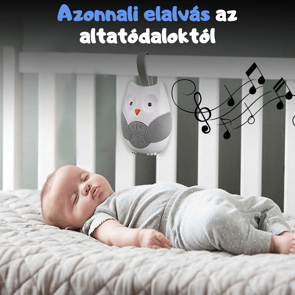 Fehérzaj altató bagoly