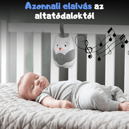 Fehérzaj altató bagoly