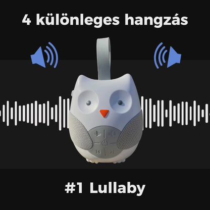 Fehérzaj altató bagoly